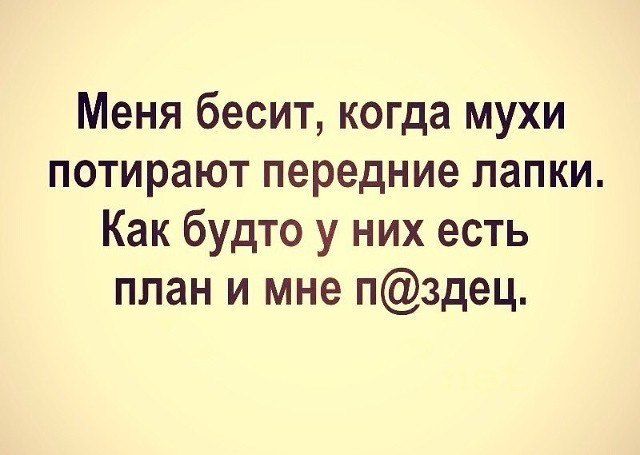   - 23  2017  19:04