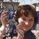 ���� ��������, �������� - ��������� 23 ������� 2017 � ������ ���� ����������