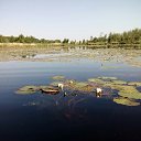 ������� 15.07.17 �� ������� �������� ���������