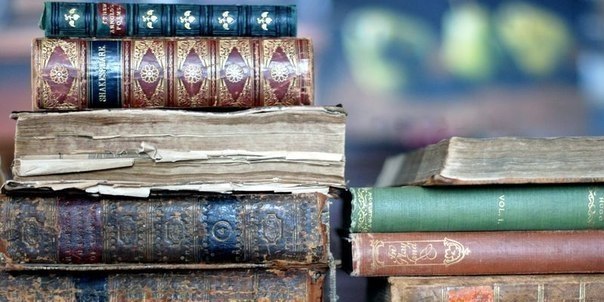 10 книг о сильных личностях. 1. Дженни Даунхэм —