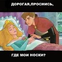 ���� ������, ����, 61 ��� - ��������� 8 ���� 2017 � ������ ������-�����