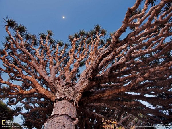  (Socotra), .          ... - 2