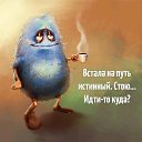 ���� ����������, ������ - ��������� 20 �������� 2017 � ������ ���� ����������