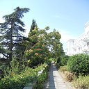  , , 60  -  6  2017   , , ,06.08.17.