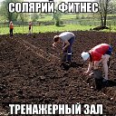 ���� �������, ���, 52 ���� - ��������� 8 ������� 2017 � ������ ������ ��������