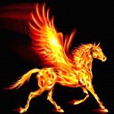 ���� �������, �����������, 67 ��� - ��������� 20 ������� 2017 � ������ ���� ����������