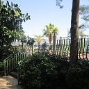 ���� ����, ����� - ��������� 22 ������� 2017 � ������ ��������� 2017 (��������)�