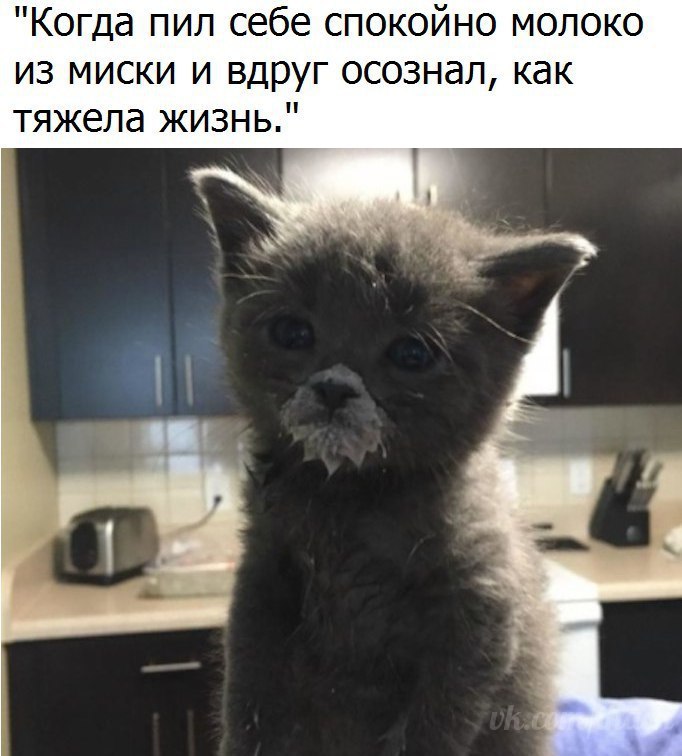  - 10  2017  10:39