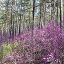 ���� ��������, ����-���, 40 ��� - ��������� 12 ��� 2017 � ������ ���� ����������