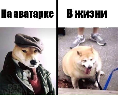  - 9  2017  13:25