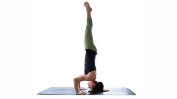 10     .      ,       ... - 9