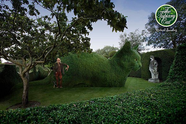 ))).Topiary Cat:     -       ... - 5