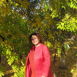 �����, ���������, 47 ���