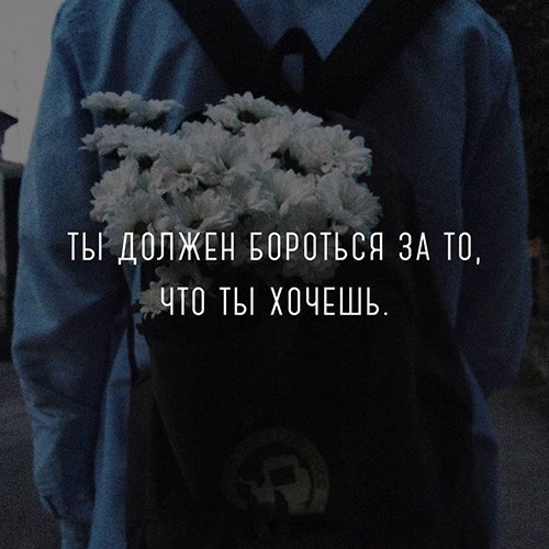  -  ,  -  - 8  2017  09:08