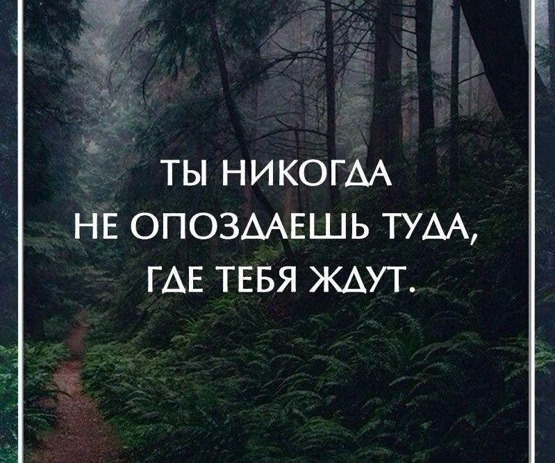 ..... - 2