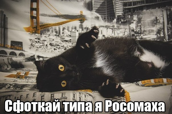 � ����� �����! - 22 ������� 2017 � 13:03