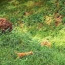 ���� �������, ���������, 48 ��� - ��������� 25 ������� 2017 � ������ ���� ����������