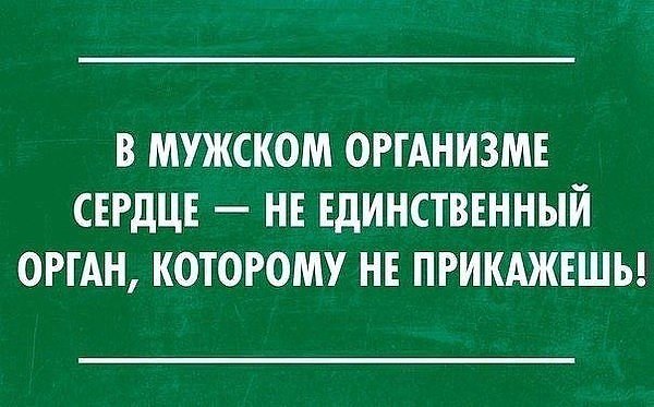      - 8  2017  07:49