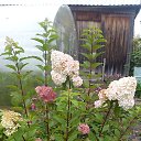  ..   ..   4 ..     ..  ...(((   :)))