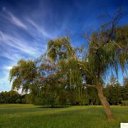 ���� ����, ������, 61 ��� - ��������� 31 ���� 2017 � ������ ������ ��������