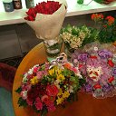 ���� �������, ������������ - ��������� 27 ��� 2017 � ������ ������ ��������