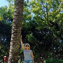  Ludmila,  -  1  2017   Israel