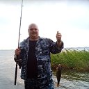 ���� ����, ���������, 43 ���� - ��������� 18 ���� 2017 � ������ ������ ��������