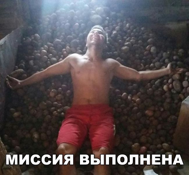    :D - 4  2017  07:10
