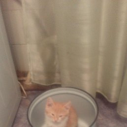 ������, ������, 57 ���