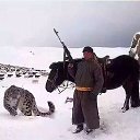 ���� ����, �������, 52 ���� - ��������� 5 ��� 2017 � ������ ���� ����������