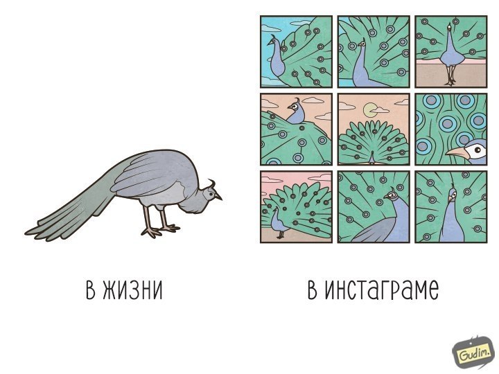   - 1  2017  00:07