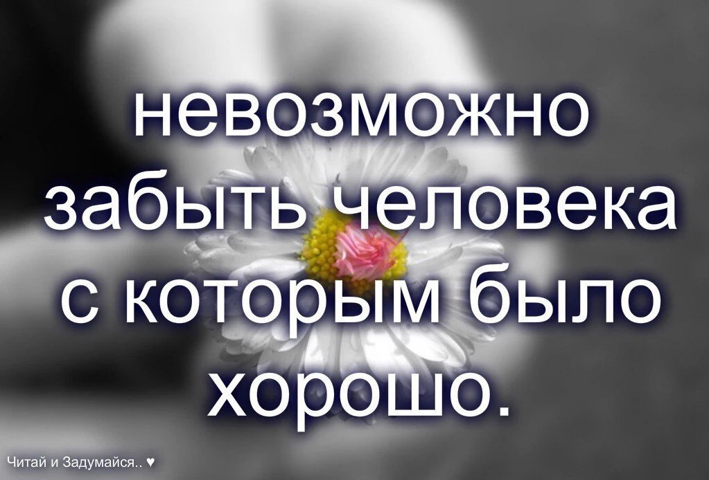 ,   ,    - 11  2017  03:54 - 2