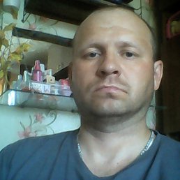 ������, �����, 46 ���