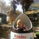  , , 41  -  28  2017   2017