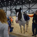 ���� ��������, �����-���������, 51 ��� - ��������� 10 �������� 2017 � ������ ������-������������� ������ �������� ���������� 27.08.2017�
