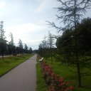 ���� Sadriddin, �����-���������, 39 ��� - ��������� 23 ������� 2017 � ������ ���� ����������