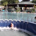 ���� ���� ( ������ ), �����, 59 ��� - ��������� 22 ������� 2017 � ������ ������ ��������