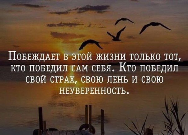 BEST | , ,  - 17  2017  12:06