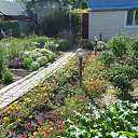 ���� ������, ����������, 81 ��� - ��������� 6 �������� 2017 � ������ ����� 2017�.�