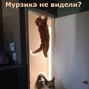 ���� ���������, ������ - ��������� 20 ������� 2017 � ������ ���� ����������