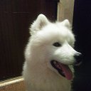  ., , 45  -  18  2017    