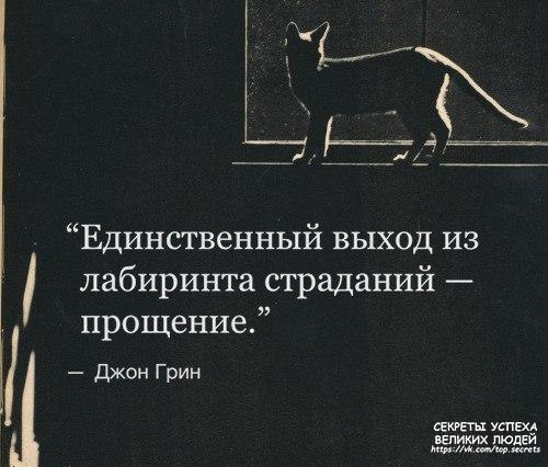     - 6  2017  07:06