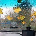 ���� �����, ���������, 59 ��� - ��������� 22 ������� 2017 � ������ ���� ����������