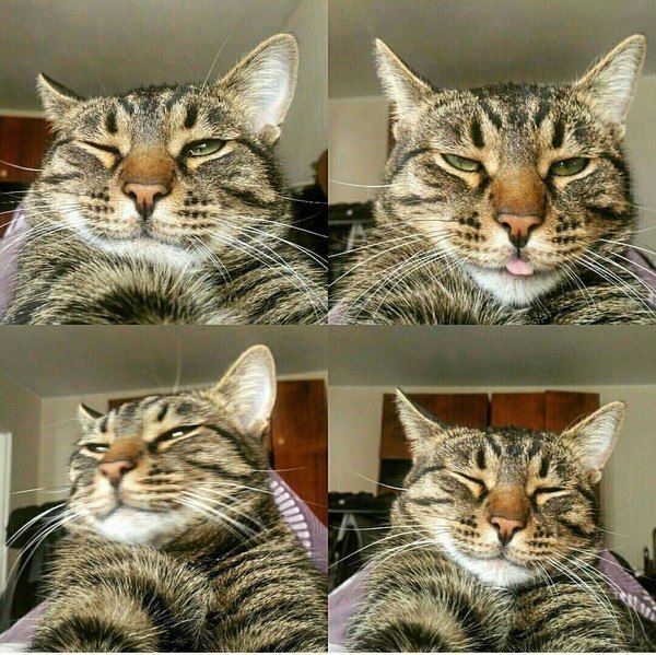    :3