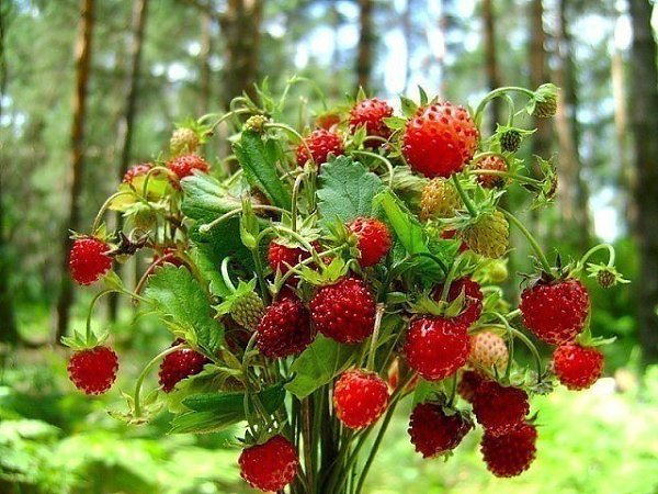 ������ ����........ - 2