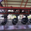 ���� ���, ������, 38 ��� - ��������� 26 ���� 2017 � ������ �������