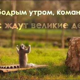 ���� �������, �������, 52 ���� - ��������� 9 ������ 2017
