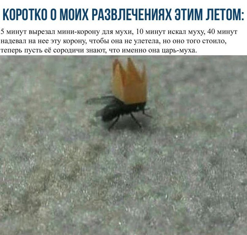    - 30  2017  16:48