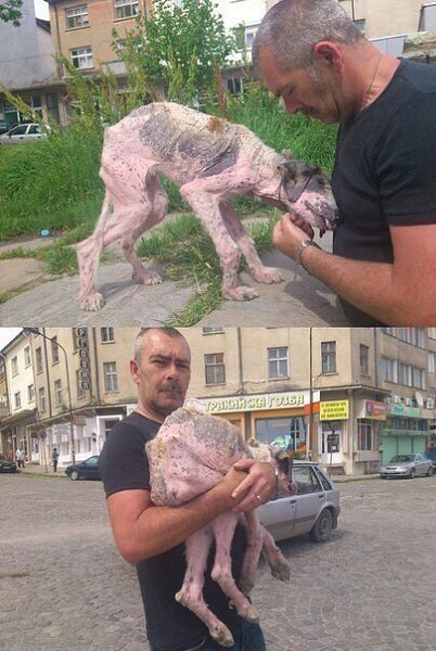 Для того чтобы спасать жизни — необязательно быть супергероем