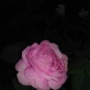 ���� 15 ����, ������� - ��������� 4 ���� 2017 � ������ ������ ��������